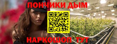 Альфа ПВП Сланцы