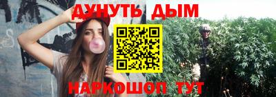 Альфа ПВП Сланцы