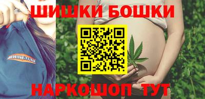 Альфа ПВП Сланцы