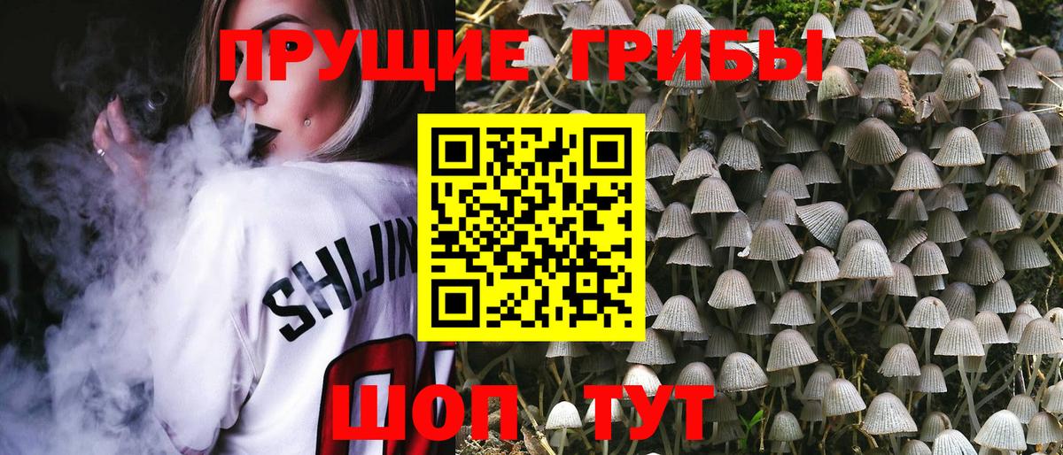 Псилоцибиновые грибы мицелий  Галлюциногенные грибы Psilocybine cubensis  Вход с VPN  Нурлат 